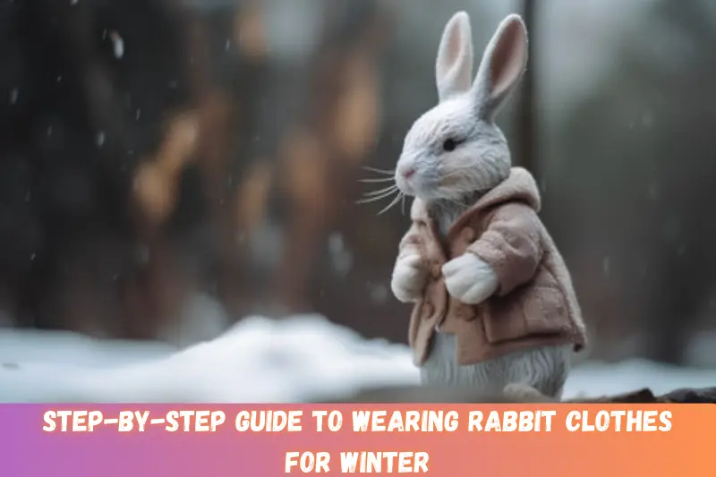 step-by-step guide to wearing rabbit clothes for winter